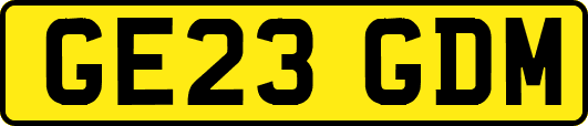 GE23GDM