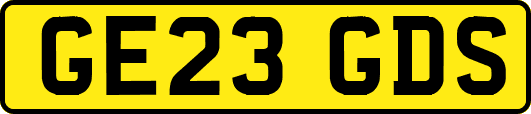 GE23GDS