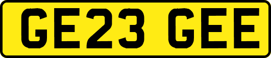 GE23GEE