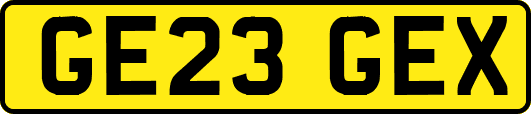 GE23GEX