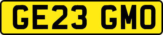 GE23GMO