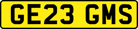 GE23GMS