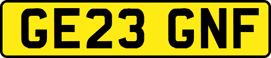 GE23GNF