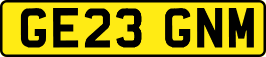 GE23GNM