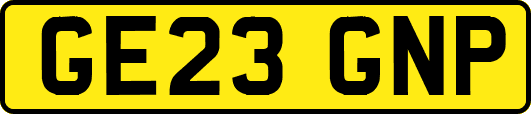 GE23GNP