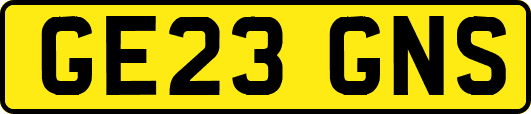GE23GNS