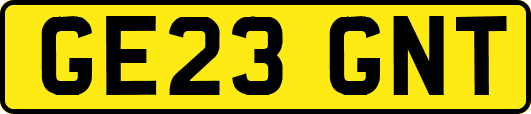 GE23GNT