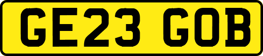 GE23GOB