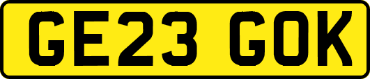 GE23GOK