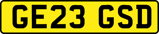 GE23GSD
