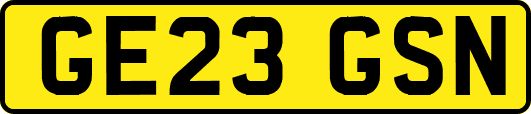 GE23GSN