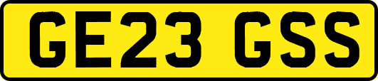 GE23GSS