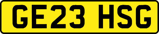 GE23HSG