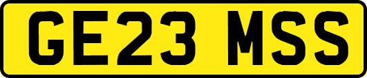 GE23MSS