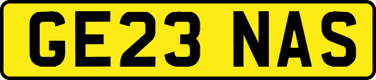 GE23NAS