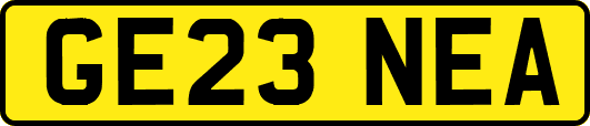 GE23NEA