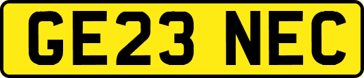GE23NEC