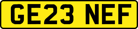 GE23NEF