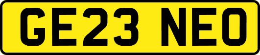 GE23NEO
