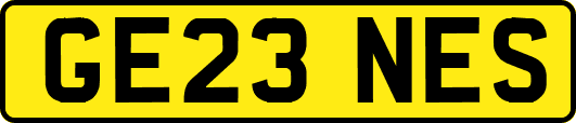 GE23NES