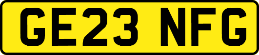 GE23NFG