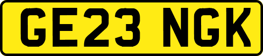 GE23NGK