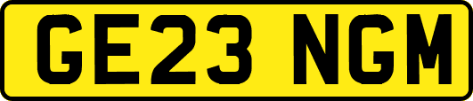 GE23NGM