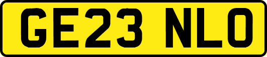 GE23NLO