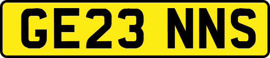 GE23NNS