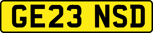 GE23NSD