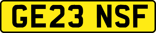 GE23NSF