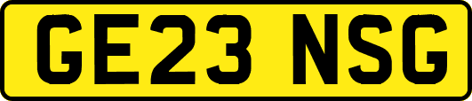 GE23NSG