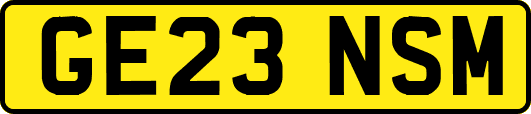 GE23NSM
