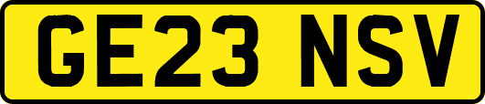 GE23NSV