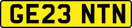 GE23NTN