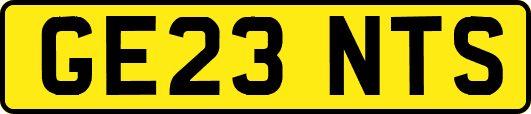 GE23NTS