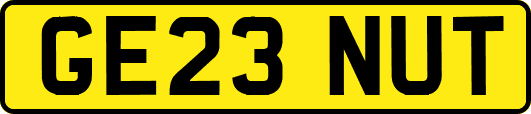 GE23NUT