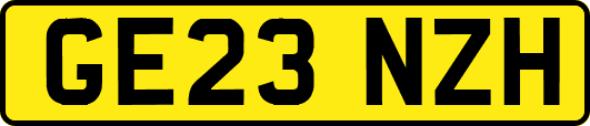 GE23NZH