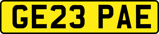 GE23PAE