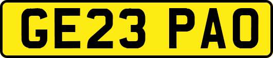 GE23PAO
