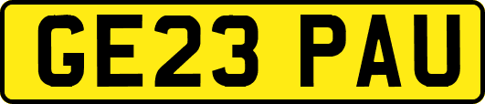 GE23PAU