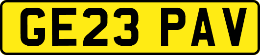 GE23PAV