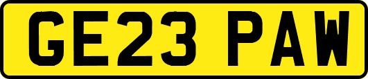 GE23PAW