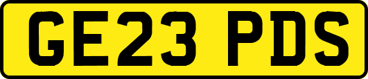 GE23PDS