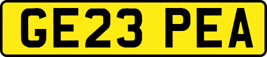 GE23PEA