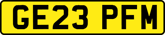 GE23PFM
