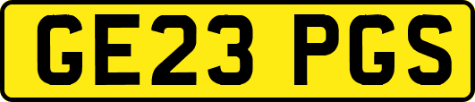 GE23PGS