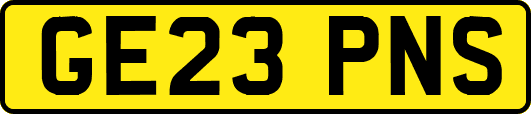 GE23PNS