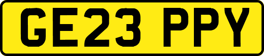 GE23PPY