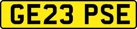 GE23PSE